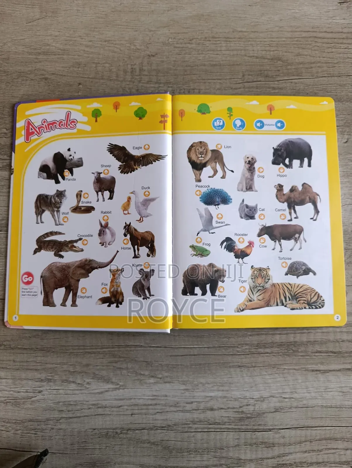 Interactive English Words Sound Book