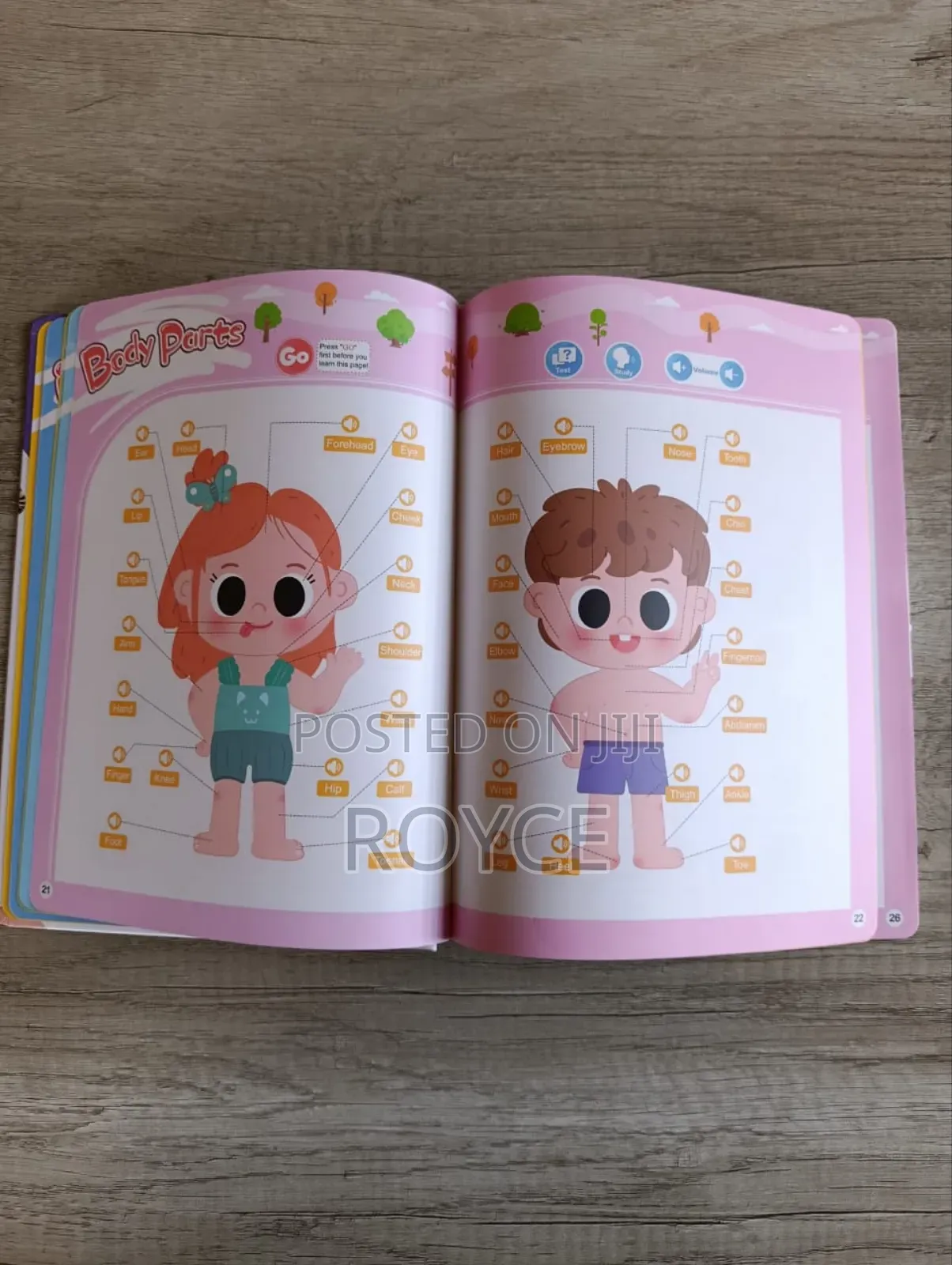Interactive English Words Sound Book
