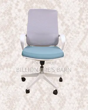 Ergonomic — Mesh Chair Seller | Nairobi Delivery Guaranteed