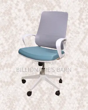 Ergonomic — Mesh Chair Seller | Nairobi Delivery Guaranteed