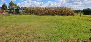 Prime Plots for Sale in Illula Centre