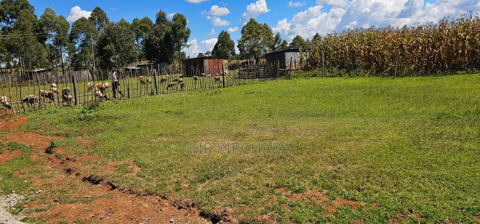 Prime Plots for Sale in Illula Centre
