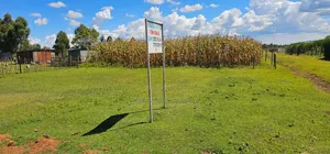 Prime Plots for Sale in Illula Centre