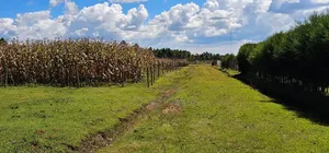 Prime Plots for Sale in Illula Centre