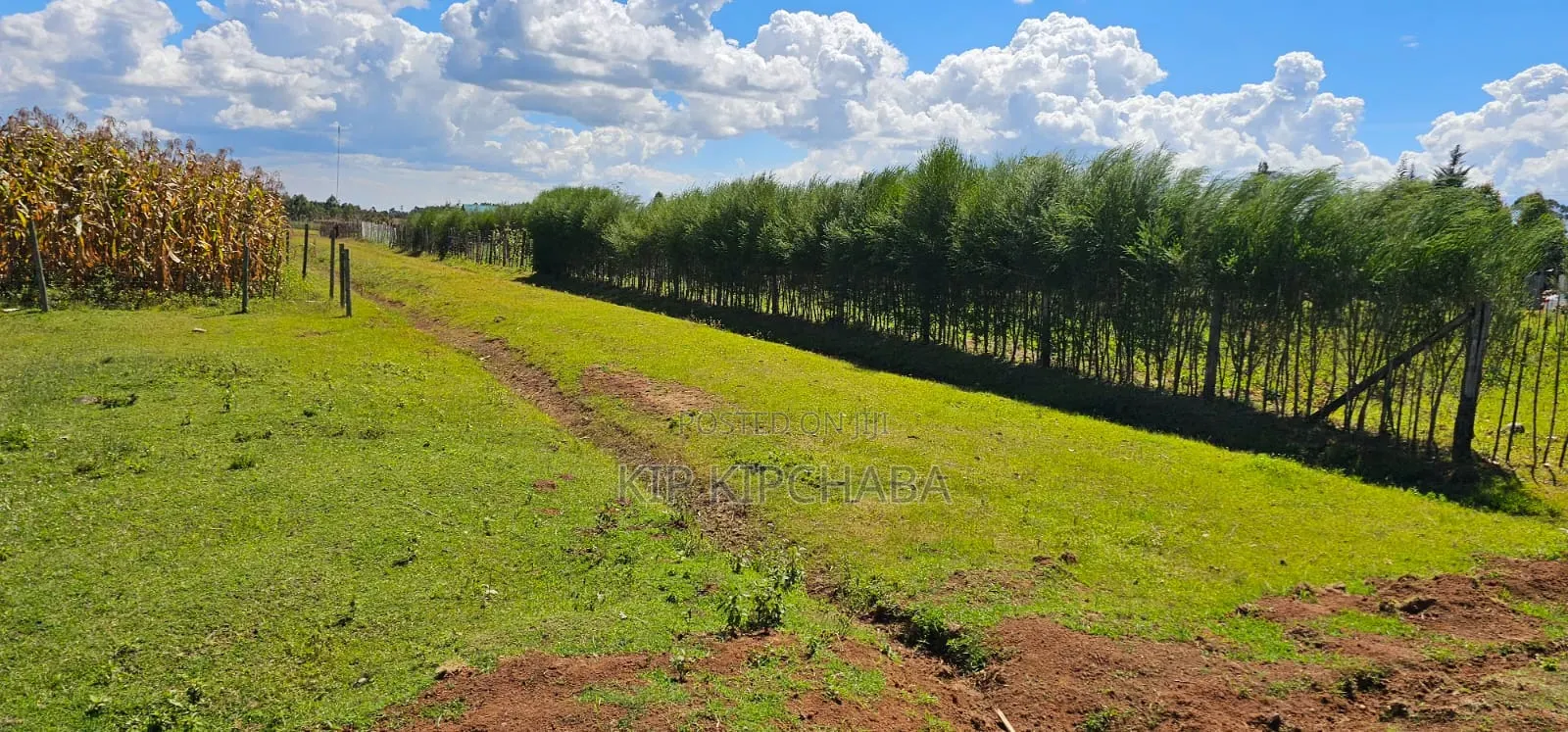 Prime Plots for Sale in Illula Centre