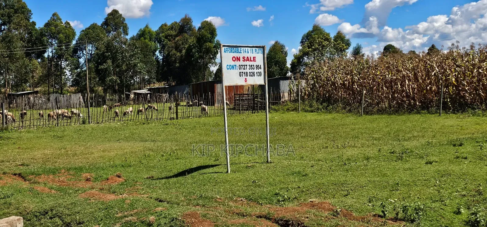 Prime Plots for Sale in Illula Centre