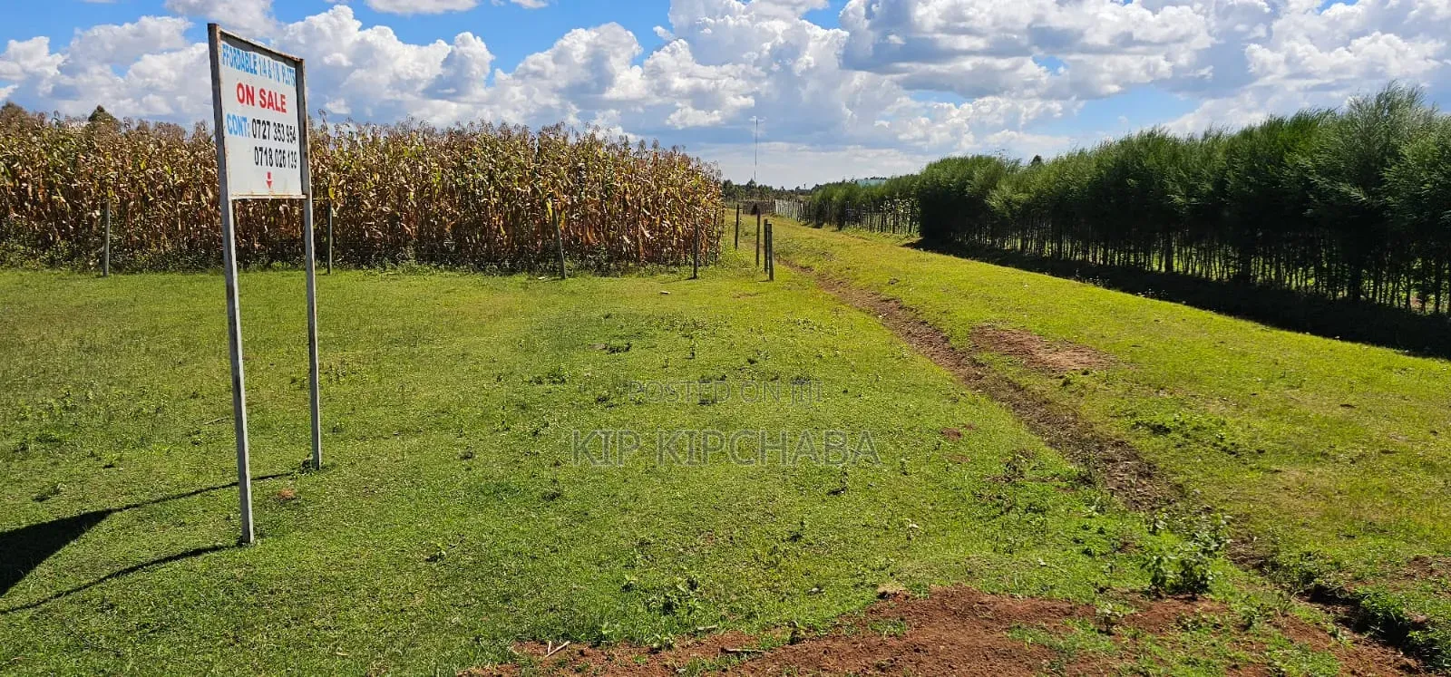 Prime Plots for Sale in Illula Centre