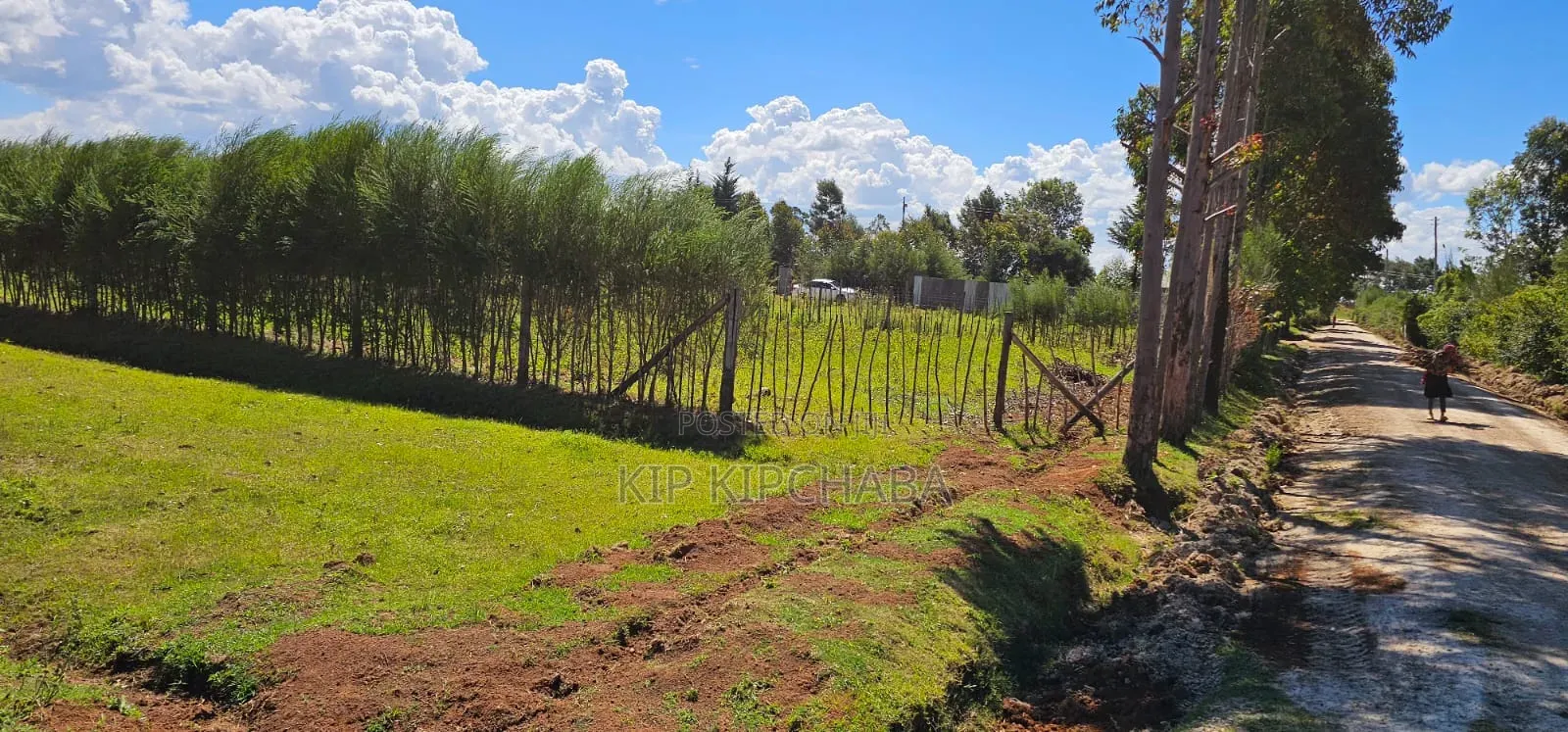 Prime Plots for Sale in Illula Centre