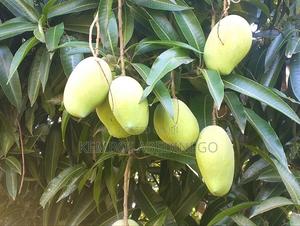 Sweet Mangoes - main view
