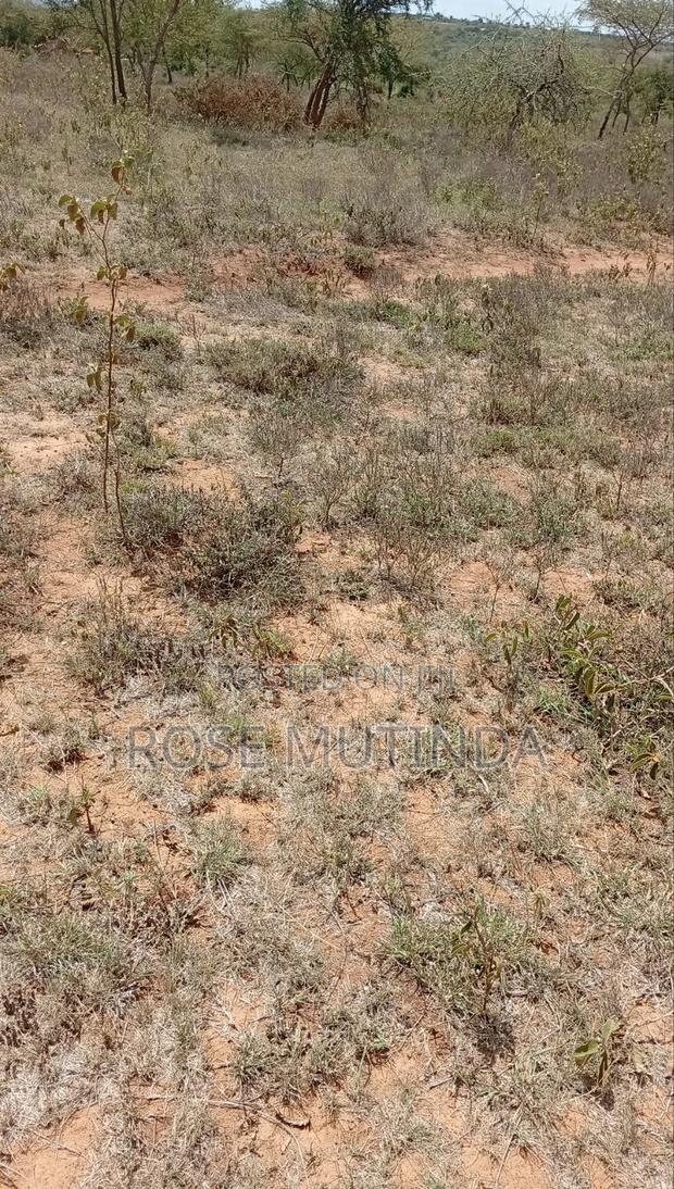 2acres at Koma - main view