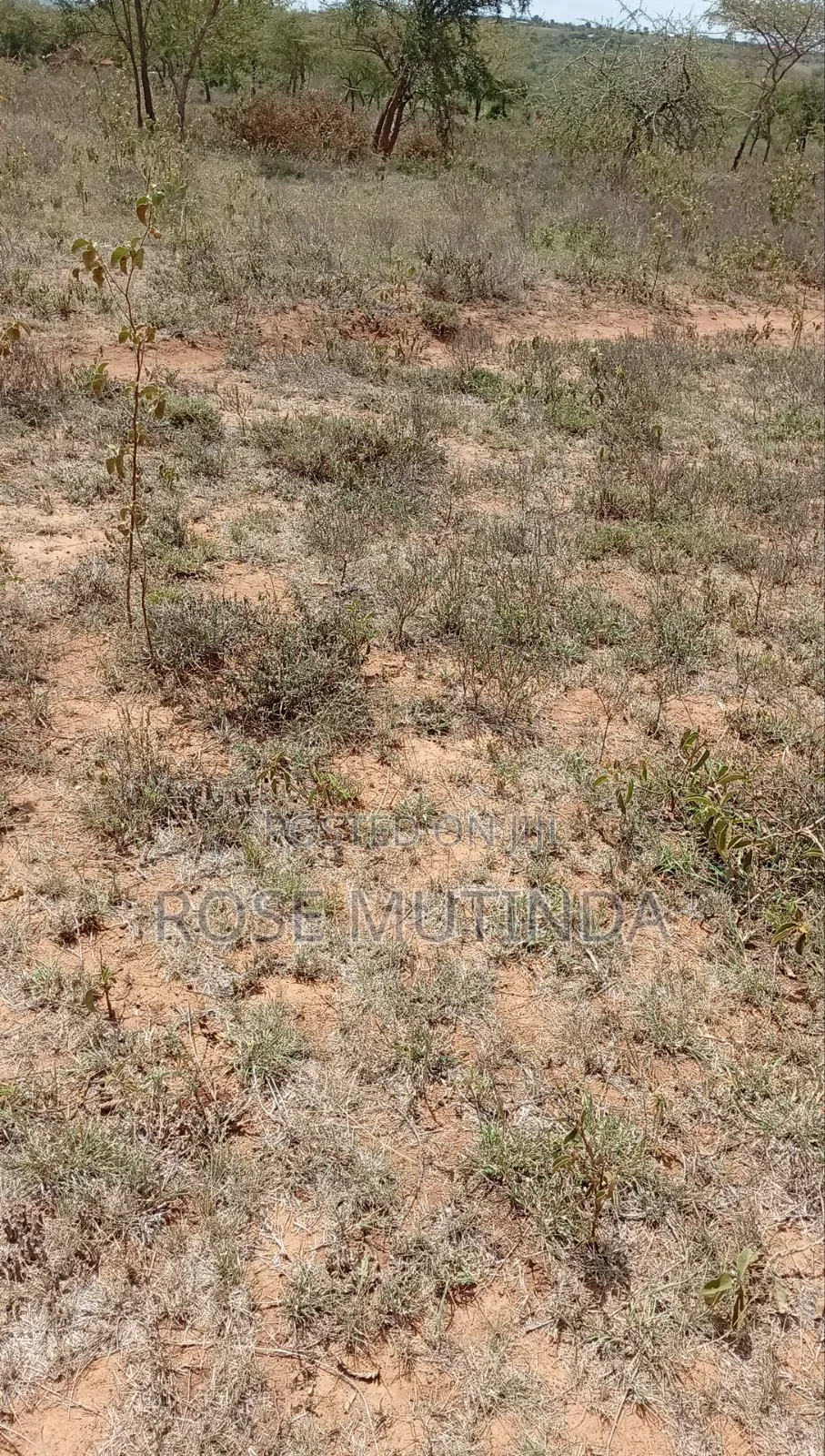 2acres at Koma