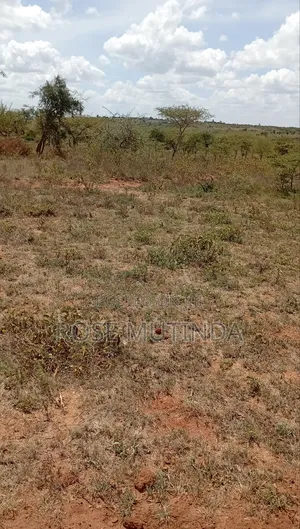 2acres at Koma