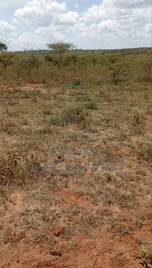 2acres at Koma