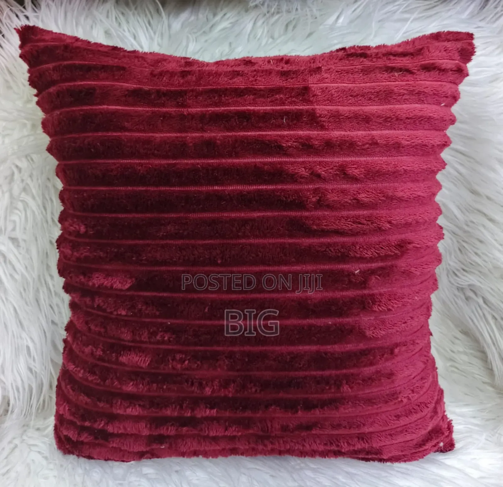 Throw Pillow Cases