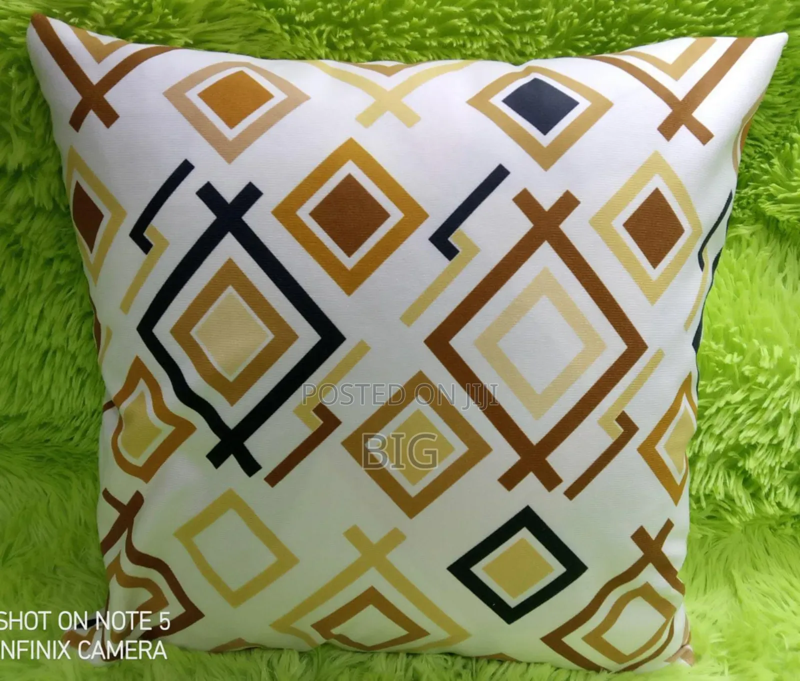 Throw Pillow Cases