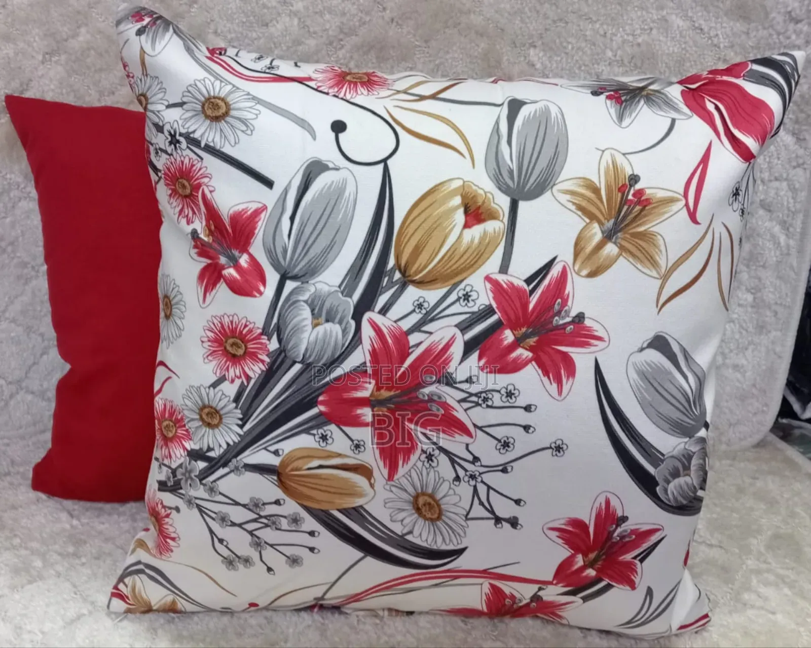 Throw Pillow Cases