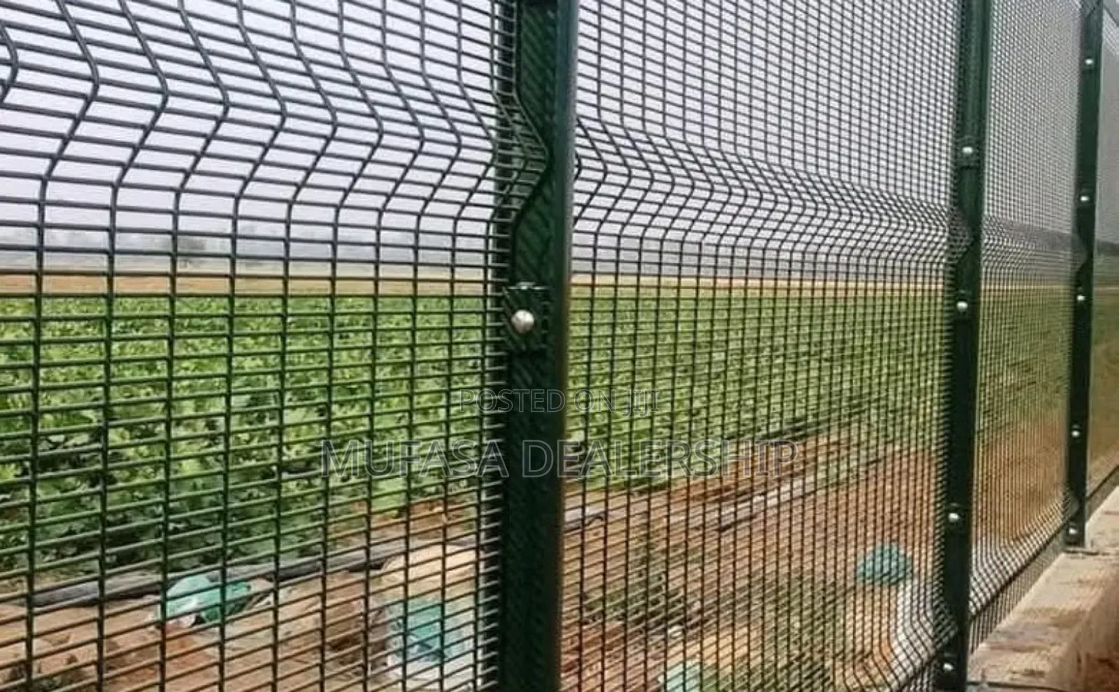 Homestead Anticlimb Fence