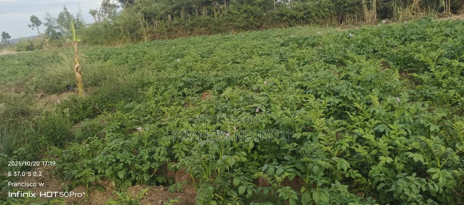 Quick Selling Land