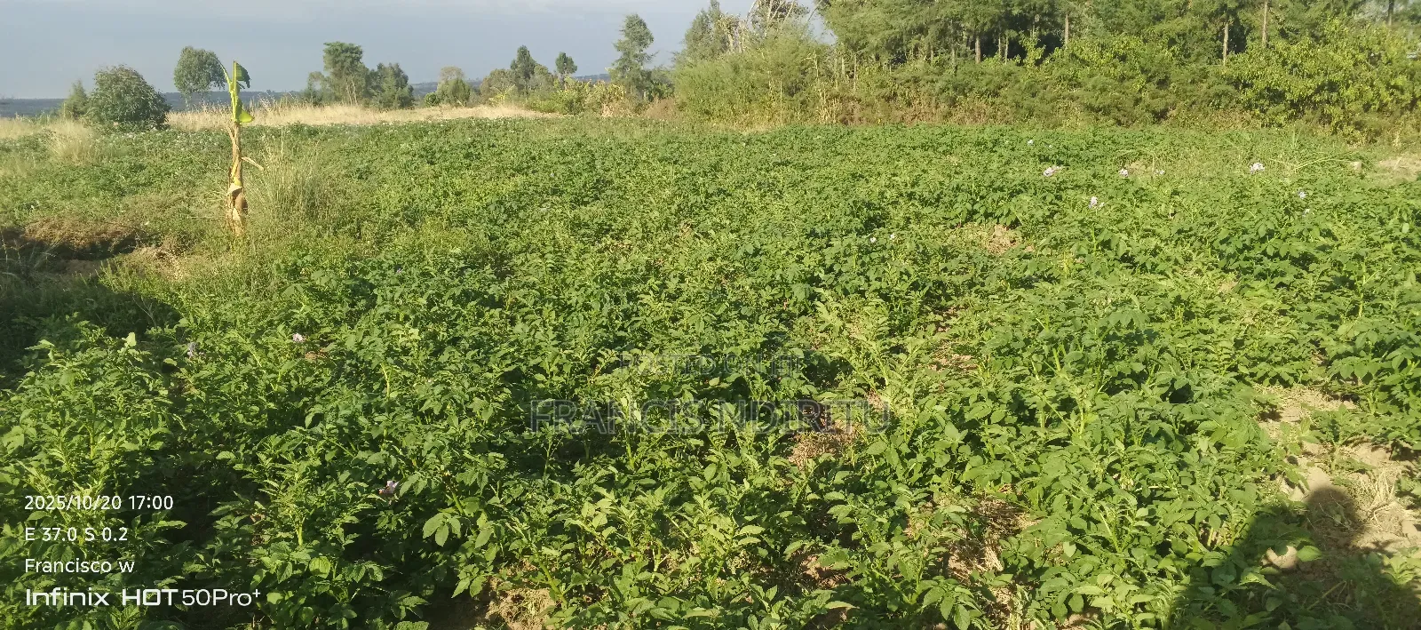 Quick Selling Land