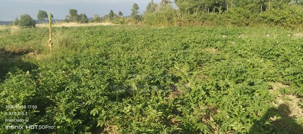 Quick Selling Land - thumbnail 4