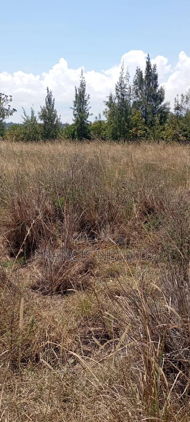 Quick Selling Land - thumbnail 6