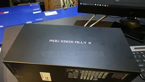 Rog Xbox Ally X
