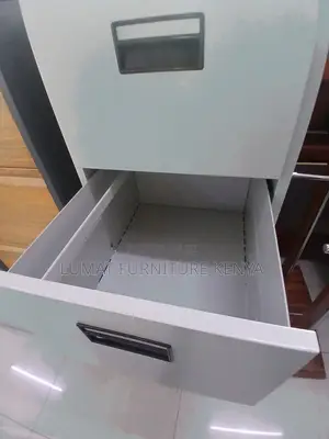 File Organizer Cabinet,
