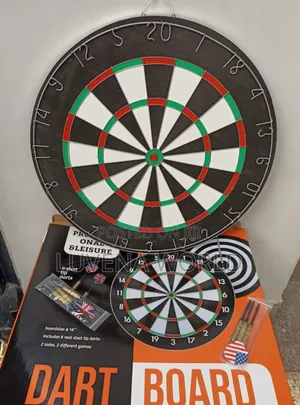 Professional Dart Board