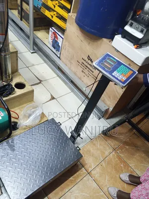 600kg Weighing Scale/ 600kg Platform Scale
