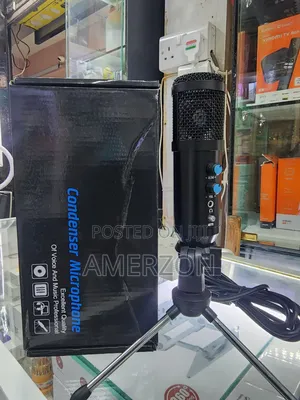 Condenser Microphone Pro Audio Microphones Wireless Systems