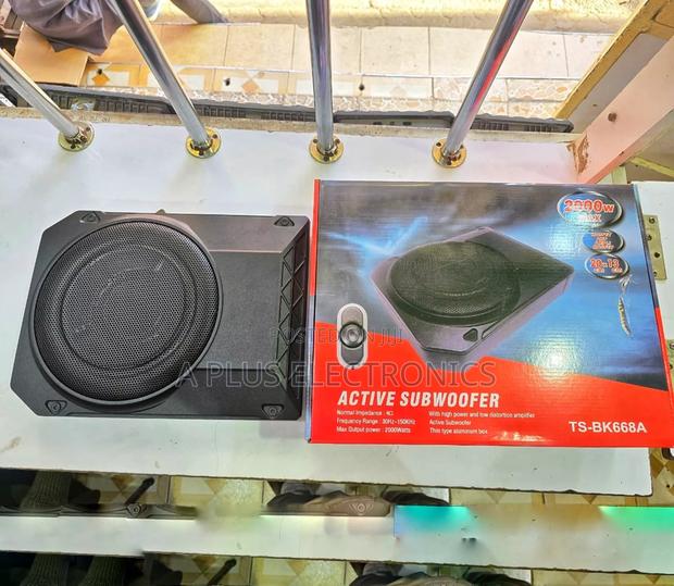 Bk668 10 Inch Underseat Subwoofer