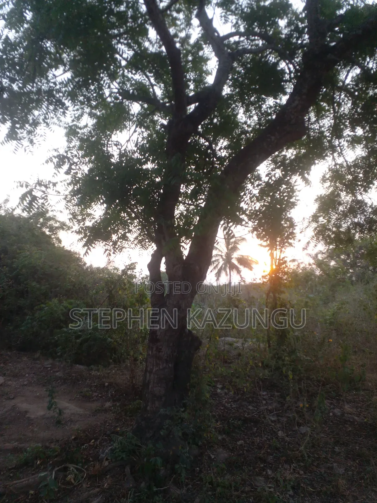 1 Acre Plot on Sale 400 Metres From the Beach in Kombani.
