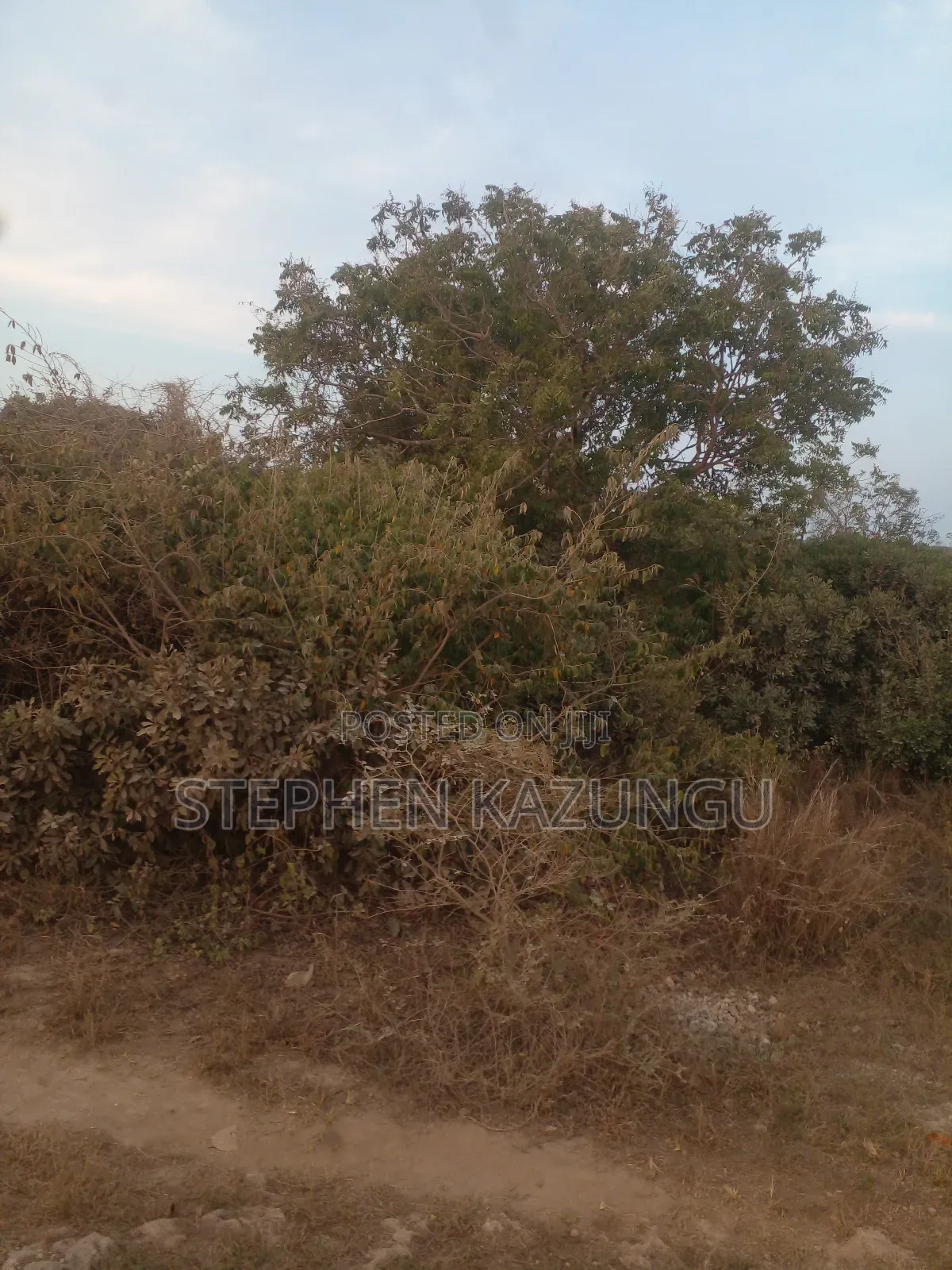 1 Acre Plot on Sale 400 Metres From the Beach in Kombani.