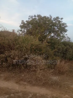 1 Acre Plot on Sale 400 Metres From the Beach in Kombani.