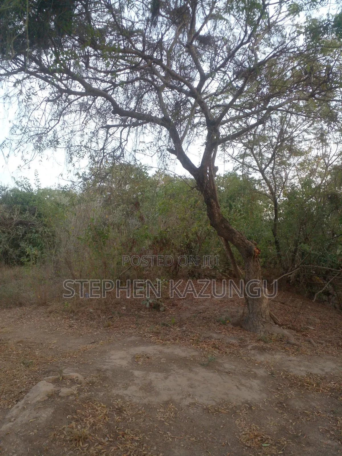 1 Acre Plot on Sale 400 Metres From the Beach in Kombani.