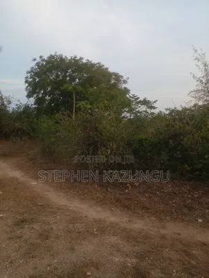 1 Acre Plot on Sale 400 Metres From the Beach in Kombani.
