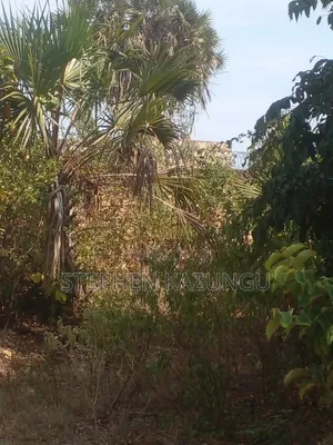 1/2 Acre Plot on Sale in Kinondo Beach Side Zone