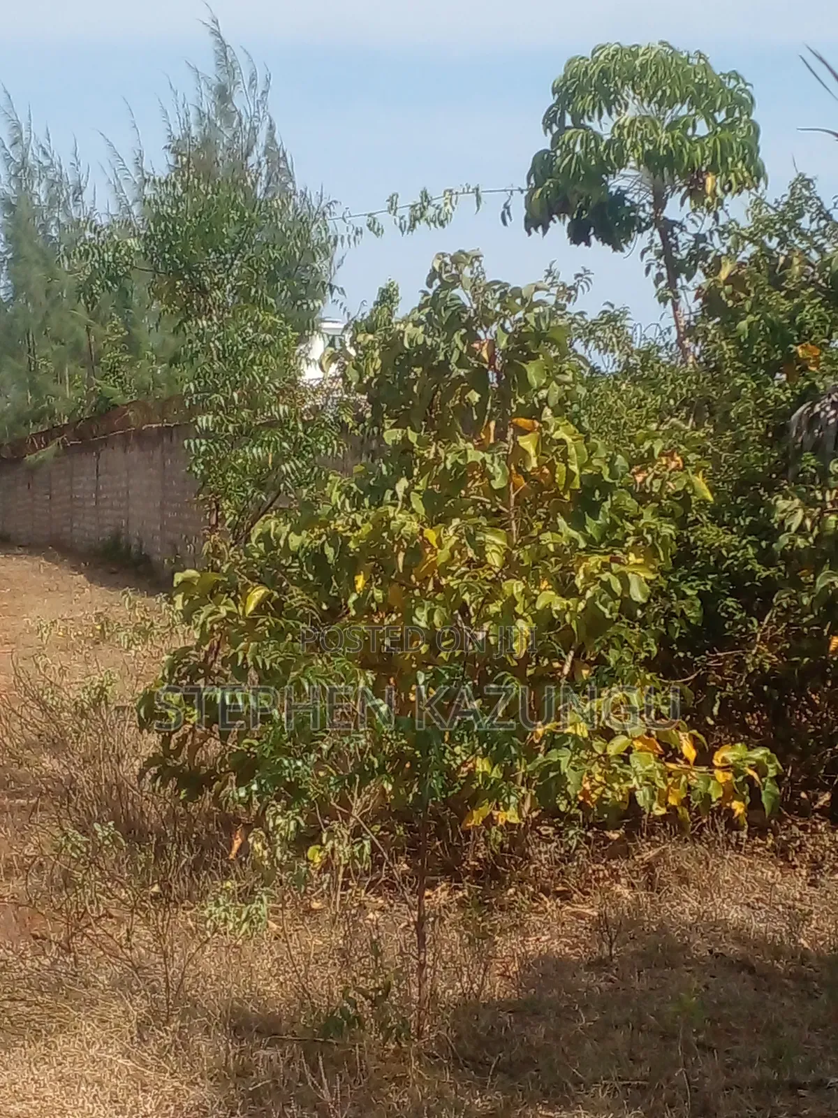 1/2 Acre Plot on Sale in Kinondo Beach Side Zone