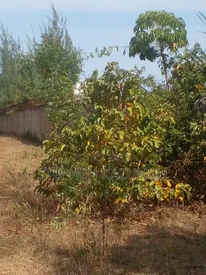 1/2 Acre Plot on Sale in Kinondo Beach Side Zone