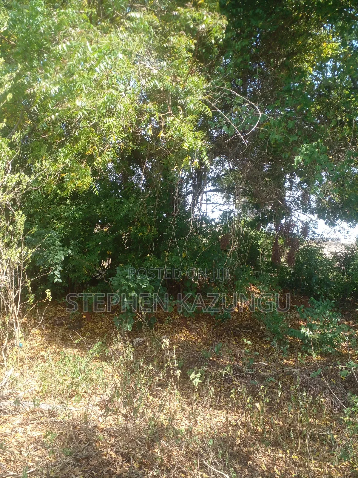 1/2 Acre Plot on Sale in Kinondo Beach Side Zone