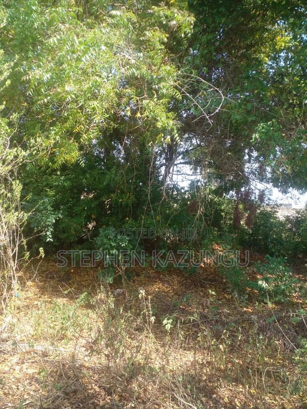 1/2 Acre Plot on Sale in Kinondo Beach Side Zone - thumbnail 7