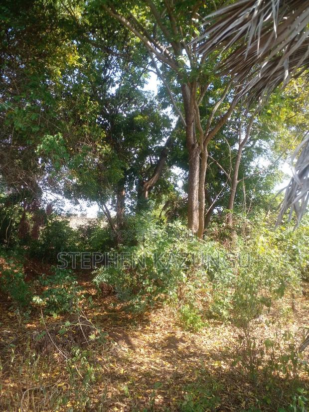 1/2 Acre Plot on Sale in Kinondo Beach Side Zone - thumbnail 2