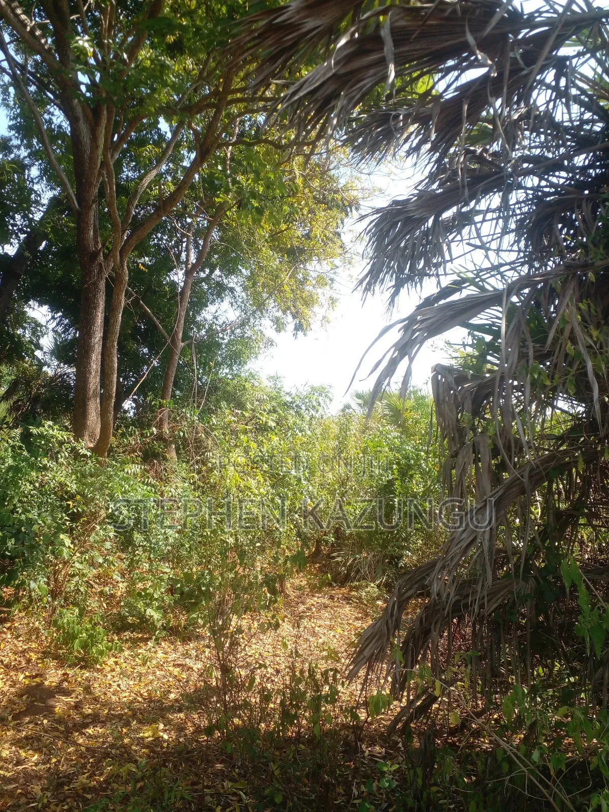 1/2 Acre Plot on Sale in Kinondo Beach Side Zone