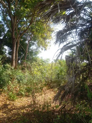 1/2 Acre Plot on Sale in Kinondo Beach Side Zone