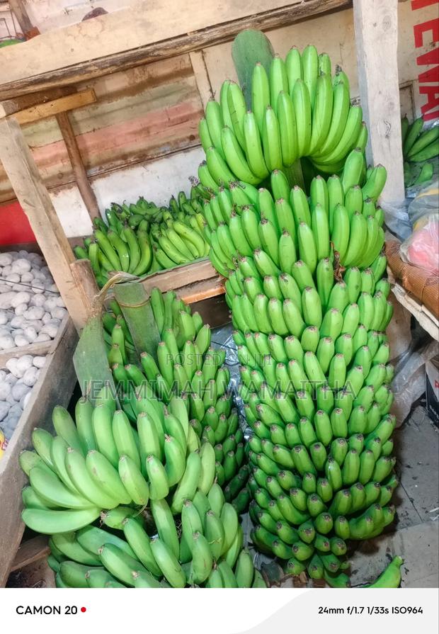 Other Banana Suckers - thumbnail 7