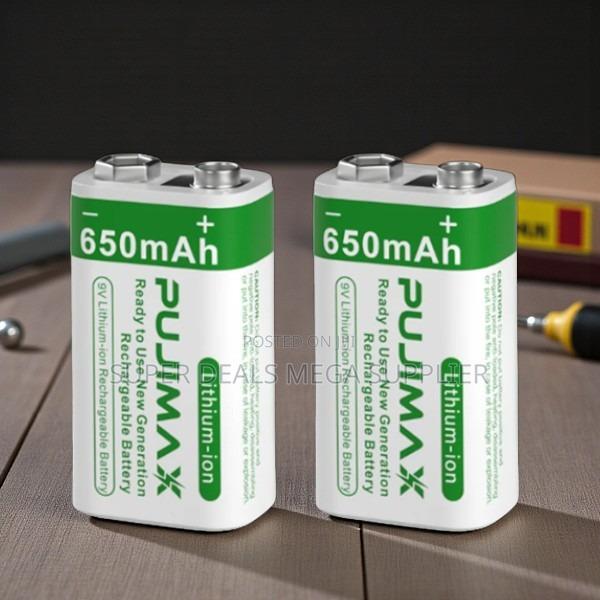 Pujimax 9v 650mah Battery High Performance Power for Detectors