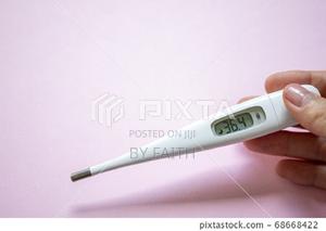 Digital Thermometer\';/., - thumbnail 2
