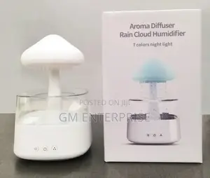 *Sound of Rain" Rechargeable Cloud Rain Humidifier