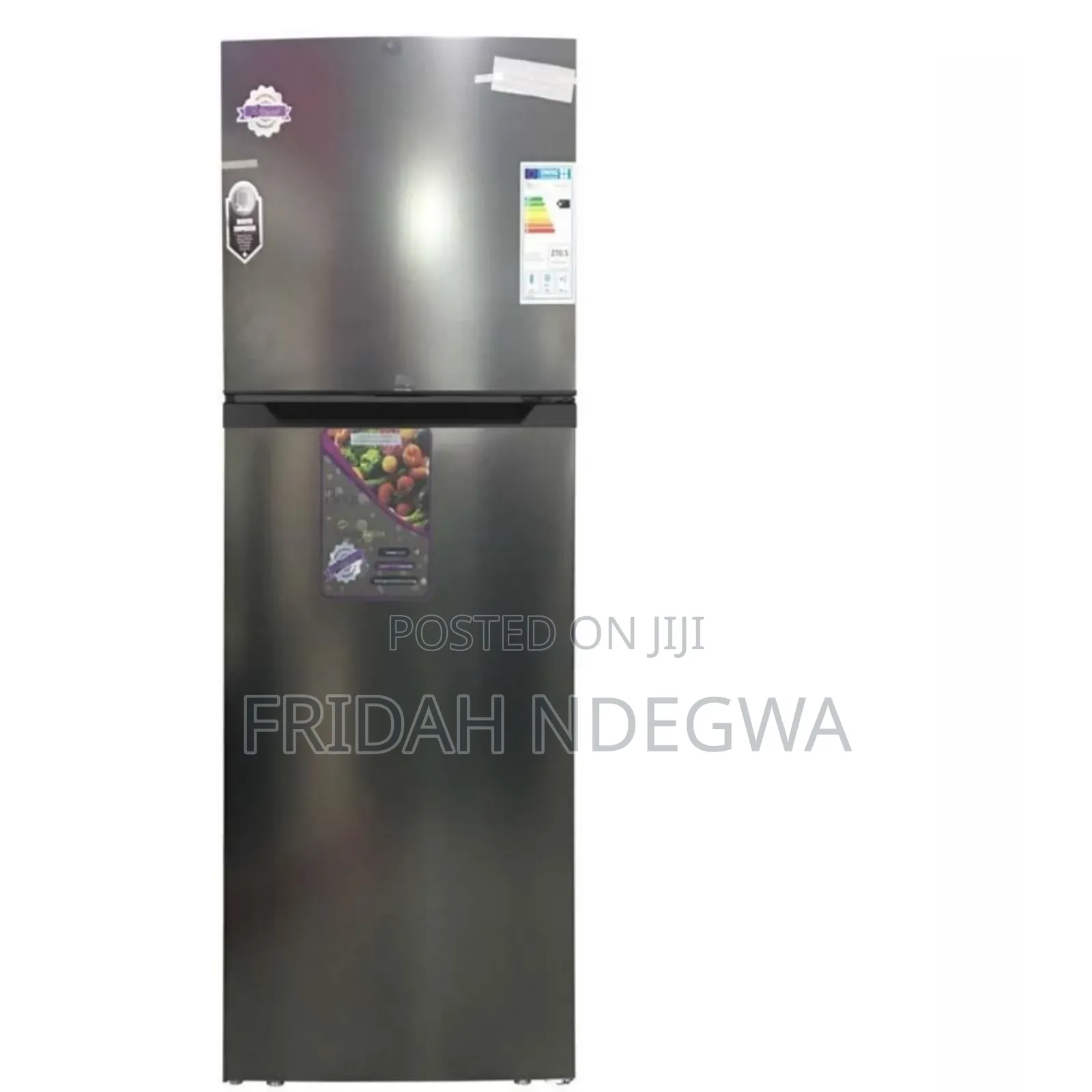 Roch 251l Double Door Fridge RFR-325dt-I