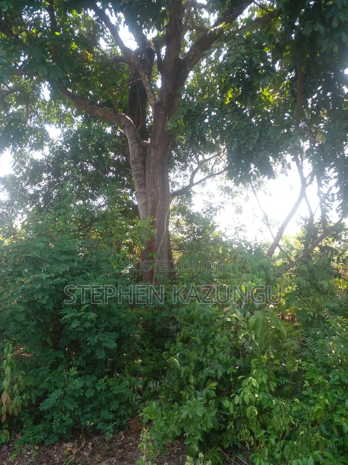 1/2 Acre Plot on Sale in Kinondo Beach Wing